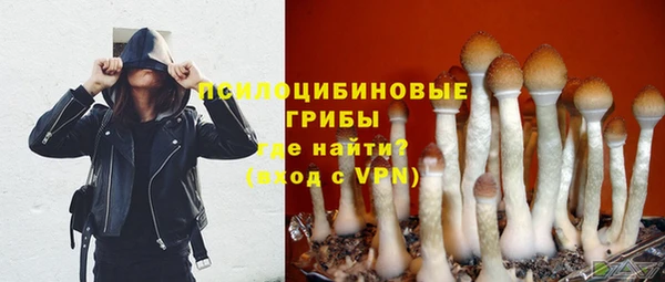 альфа пвп Вяземский
