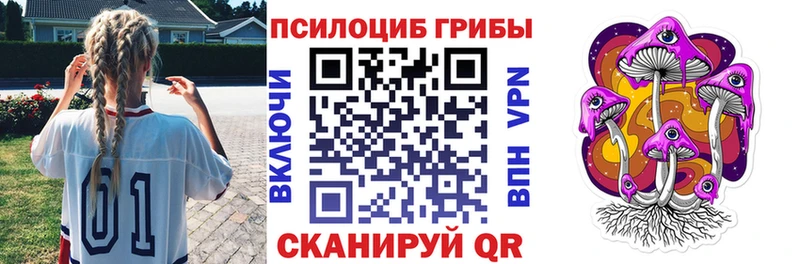 даркнет наркотические препараты  ссылка на мегу   Евпатория  где можно купить   Галлюциногенные грибы Magic Shrooms 